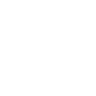 Ricky's Toolbox logo